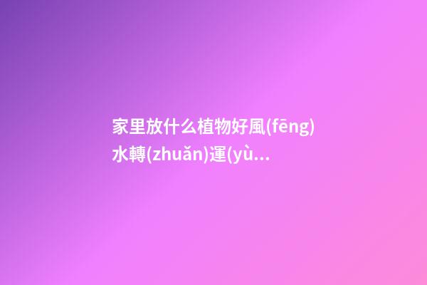 家里放什么植物好風(fēng)水轉(zhuǎn)運(yùn)，觀賞價(jià)值高還容易養(yǎng)護(hù)的綠植
